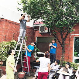 2019/04/23 摘櫻桃