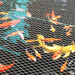 2019/05/21 噴泉池玩耍